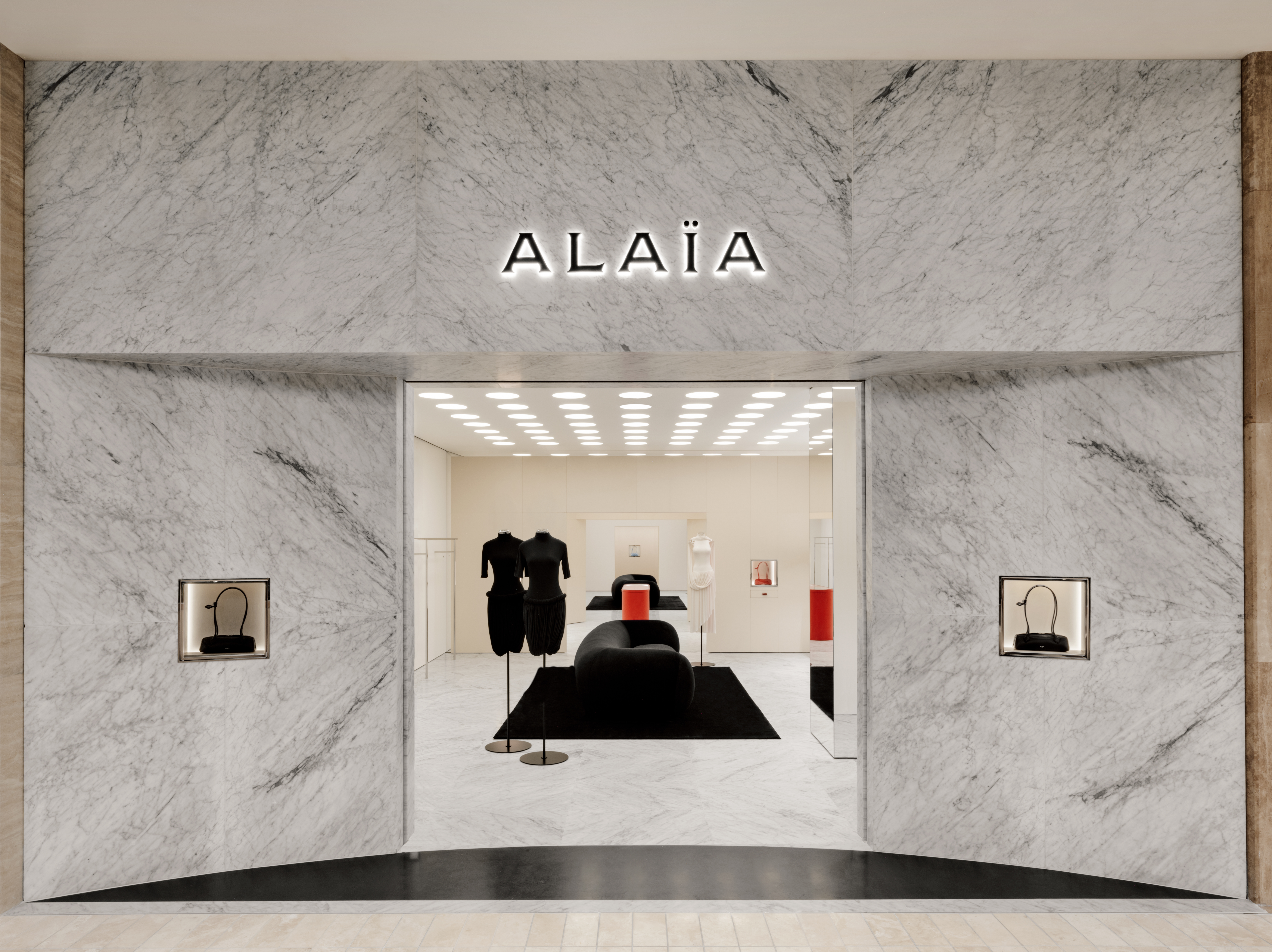 ALAIA_SCP_HALLEROED_1