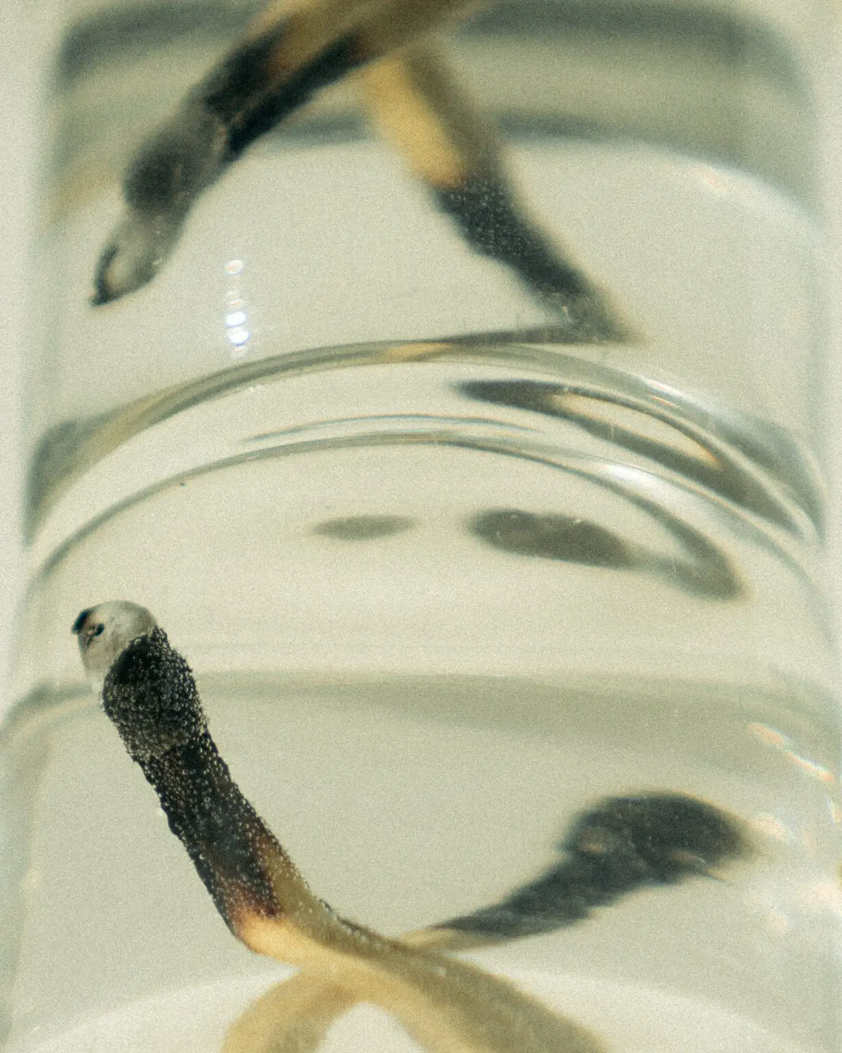 _DSC2331