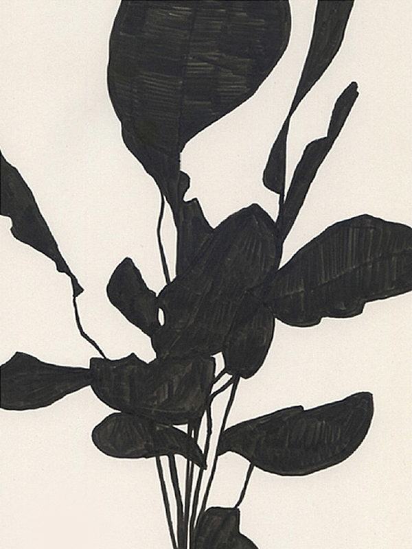 FredericForest_AtelierFrankDurand_MassimoDutti_A